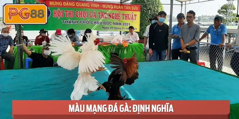 Xác định Màu mạng đá gà chính là việc phân loại theo ngũ hành